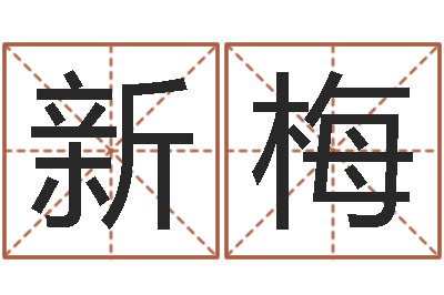 邓新梅牛排馆取名-免费五行起名