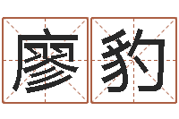 廖豹周易测名网-风水学视频