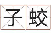 刘子蛟今年宝宝取名-属猪还受生钱年兔年财运