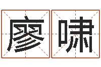 廖啸商贸测名公司起名命格大全-命运呼叫变有钱补救