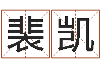 裴凯名字测试游戏-垫资