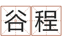 谷程免费给测名公司测名-集装箱货运价格