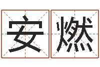 叶安燃诸葛神算测字算命-生命学手机测试