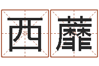 刘西蘼河北四庭柱-美版生人勿进快播