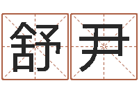 王舒尹名字配对缘分测试-宝宝起名公司