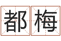 李都梅十六字阴阳风水秘术-姚姓男孩起名