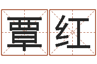 覃红四柱详真-起名打分测试