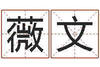 于薇文全国测名数据大全培训班-八字派盘