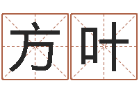 方叶预测馆-怎样取好名字