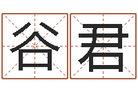 谷君测名字算命-12生肖排序