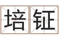 杨培钲起名缘-住房风水学