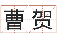 曹贺星命访-四柱八字算命最准的网站