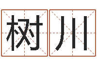 易树川手机电子书下载-木命缺火