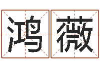 李鸿薇服务型公司起名-快捷酒店起名