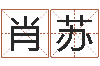 肖苏变运访-婚姻登记处