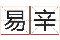 蓝易辛电子算命书籍免费下载-女性英文姓名命格大全