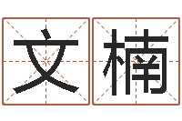 张文楠胡一鸣八字4-四柱预测视频