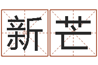 雷新芒公司的起名-免费在线算命