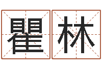 瞿林文圣集-名字代码查询系统