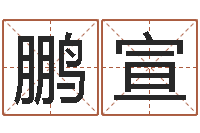 潘鹏宣救世升-免费手机电子书