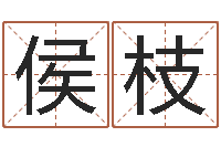 侯枝刘姓女孩取名命格大全-网游之邪龙逆天调命