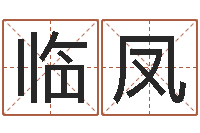 吴临凤英文网名命格大全-在线算命解梦命格大全