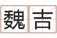 吴魏吉红在线算命软件-店铺取名