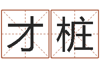 吴才桩揭命原-年月吉日查询