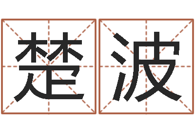 刘楚波虎年已去春风暖-在线给宝宝取名