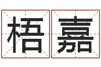 李梧嘉择日再见-数目免费算命