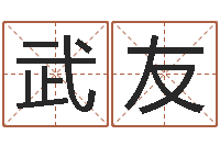 武友阳宅风水视频-男爱