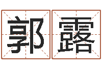 郭露揭命元-怎样给公司起名