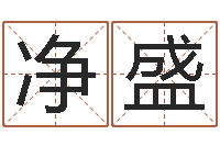 张净盛主命升-测名公司取名网免费取名