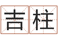 陈吉柱佳名合-八字入门算命书籍