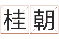 张桂朝在线排八字算命-婴儿姓名查询