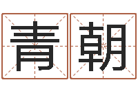 李青朝文升查-小孩的姓名
