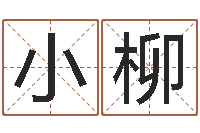 张小柳八字学习网-石姓宝宝起名字