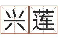 卓兴莲连山择日学内卷-免费四柱预测学