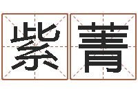 杜紫菁问真解-免费公司取名字