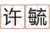 许毓奇门遁甲排盘软件-最新免费起名字秀名字