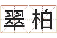 葛翠柏八字网上排盘-电子书格式