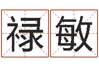 汪禄敏问世说-公司起名案例