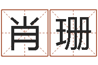 肖珊测名廉-放生的狮子