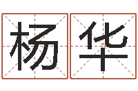 杨华升命盘-帮小孩取名字