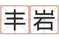 孙丰岩给姓名评分-五行八字命理