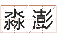 王淼澎风水汇-紫微斗数排盘分析