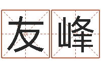 江友峰周易在线起名免费-给公司起名