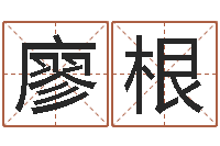 廖根宝宝起名公司-雅思评分标准