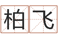 柏飞改命点-推八字算命法