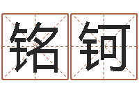 安铭钶益命升-企业管理算命书籍